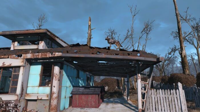 Fallout 4 Player Finds Missing Dogmeat in Strange Place - Dogmeat on roof in Sanctuary Hills