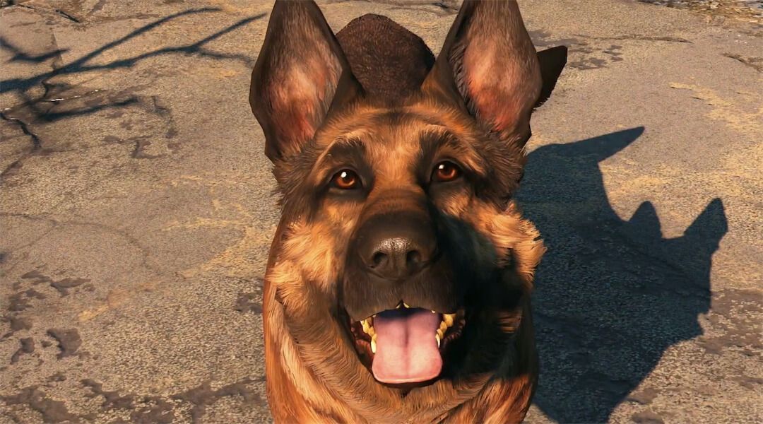 Fallout 4 Player Finds Dogmeat in Strange Place