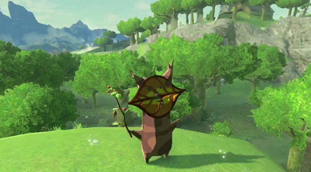 Zelda: Breath of the Wild - What to do with Korok Seeds