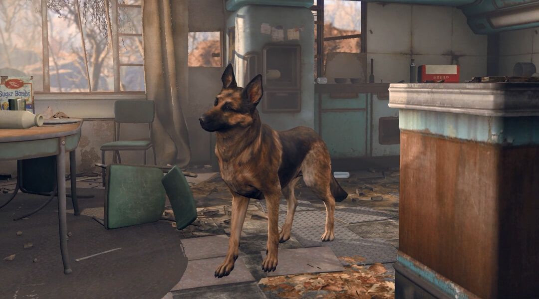 Fallout 4 Player Killed by Careless Dogmeat