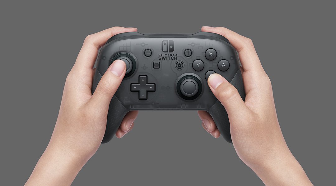 Nintendo Switch Pro Controller Has Easter Egg